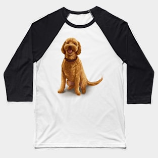 Romeo the Dog Baseball T-Shirt